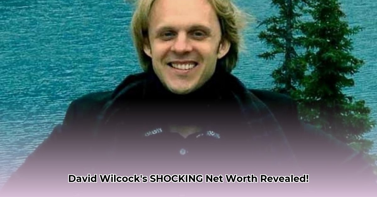 david-wilcock-net-worth